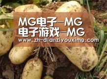 产品展示标题2