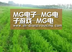 种植基地四