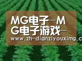 种植基地六(图1)