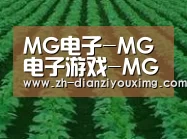 种植基地六
