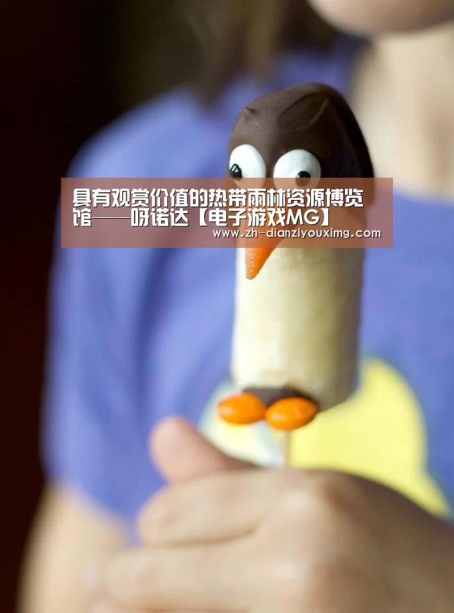 具有观赏价值的热带雨林资源博览馆——呀诺达【电子游戏MG】(图1) 电子游戏MG