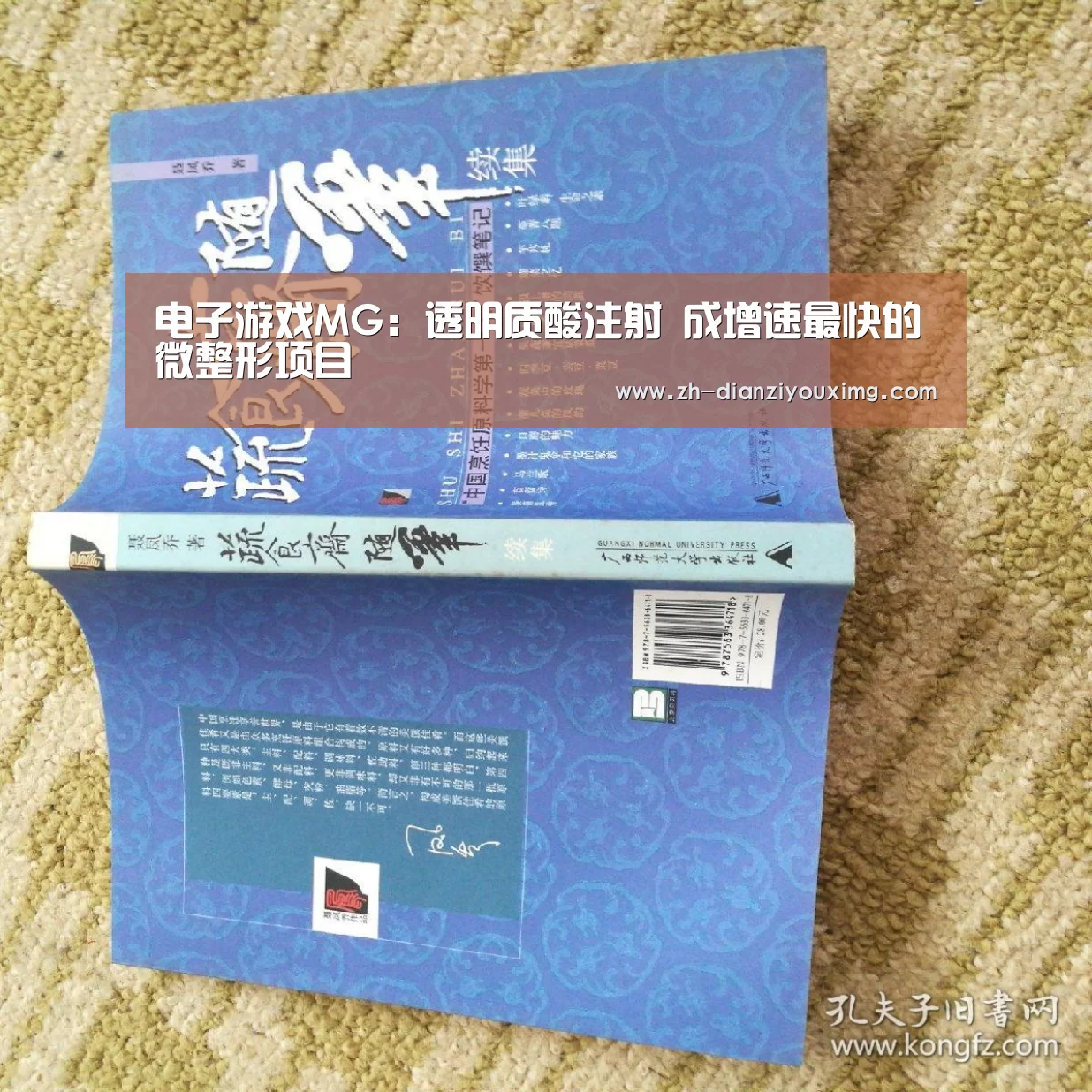 电子游戏MG